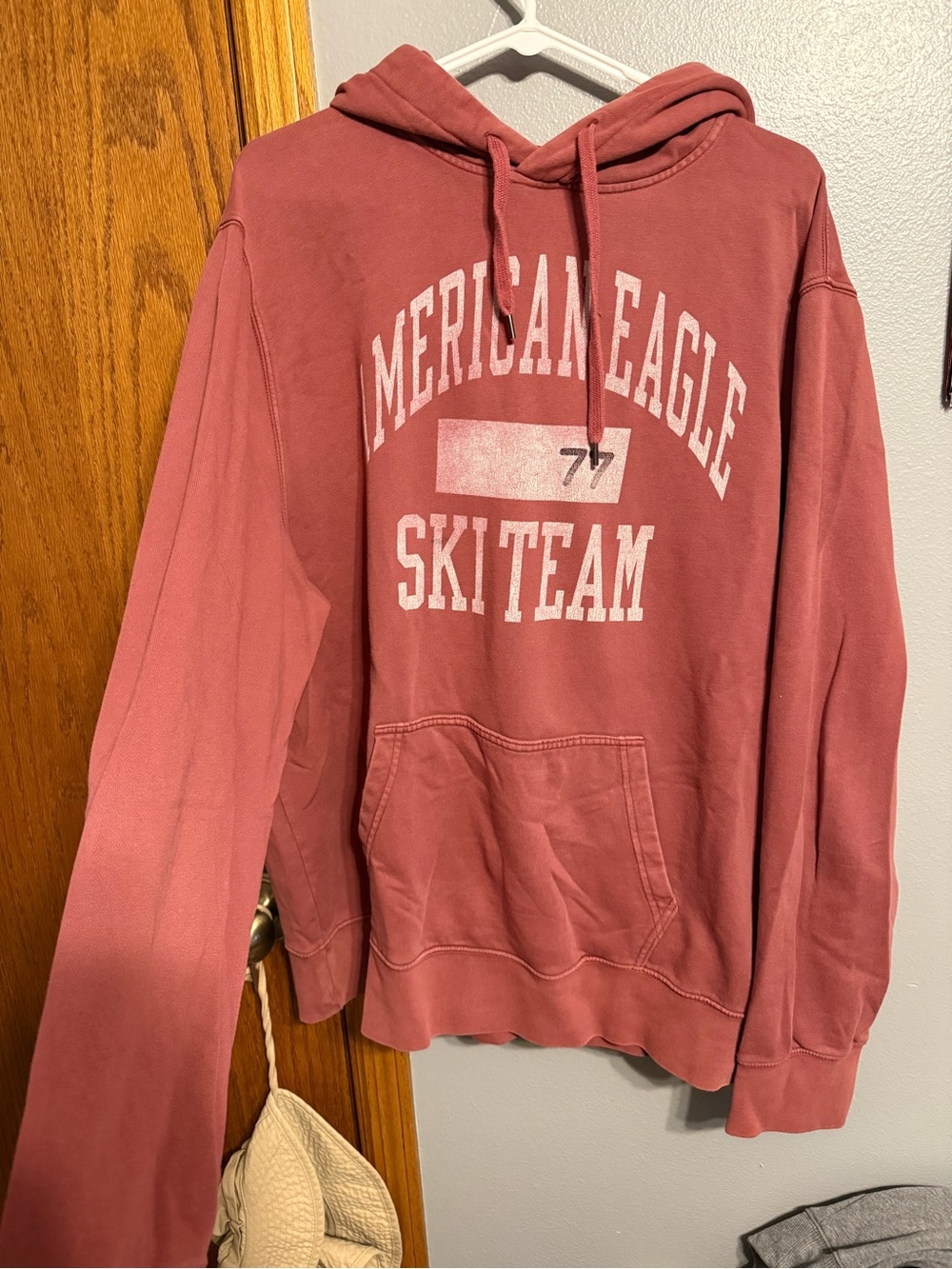 American Eagle Outfitters Dusty Rose Ski Team Crewneck Hoodie